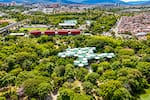 Medellín se prepara para Climate Week Biodiversity 2026 con más de 244 eventos