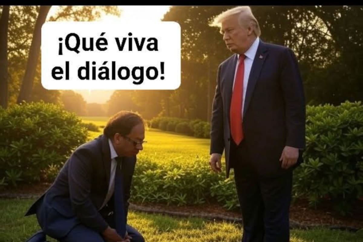 Memes explotan tras llamada Petro-Trump