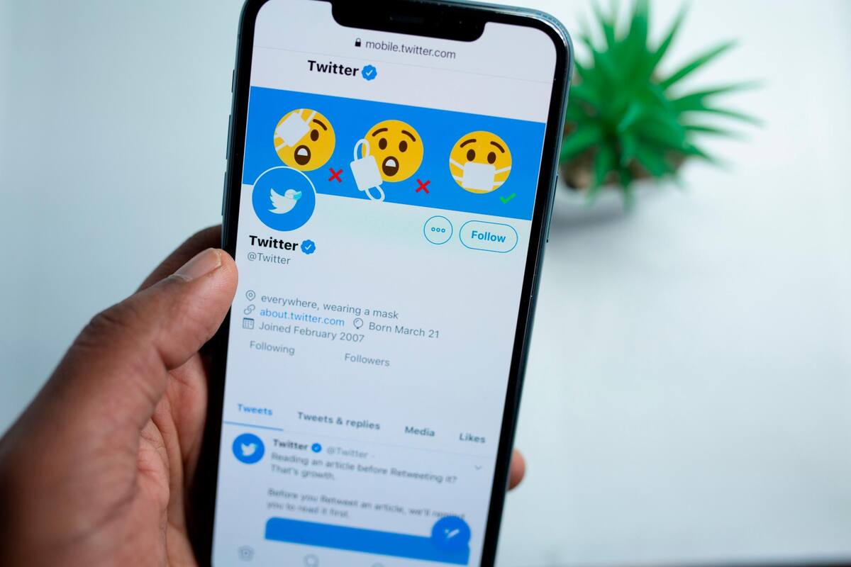 El meme se usa para describir una idea, concepto, situación, expresión o pensamiento, manifestado en cualquier tipo de medio virtual, cómic, vídeo, audio, textos, imágenes y todo tipo de construcción multimedia que puede provocar gracia, críticas o emociones similares. Internet / VANGUARDIA