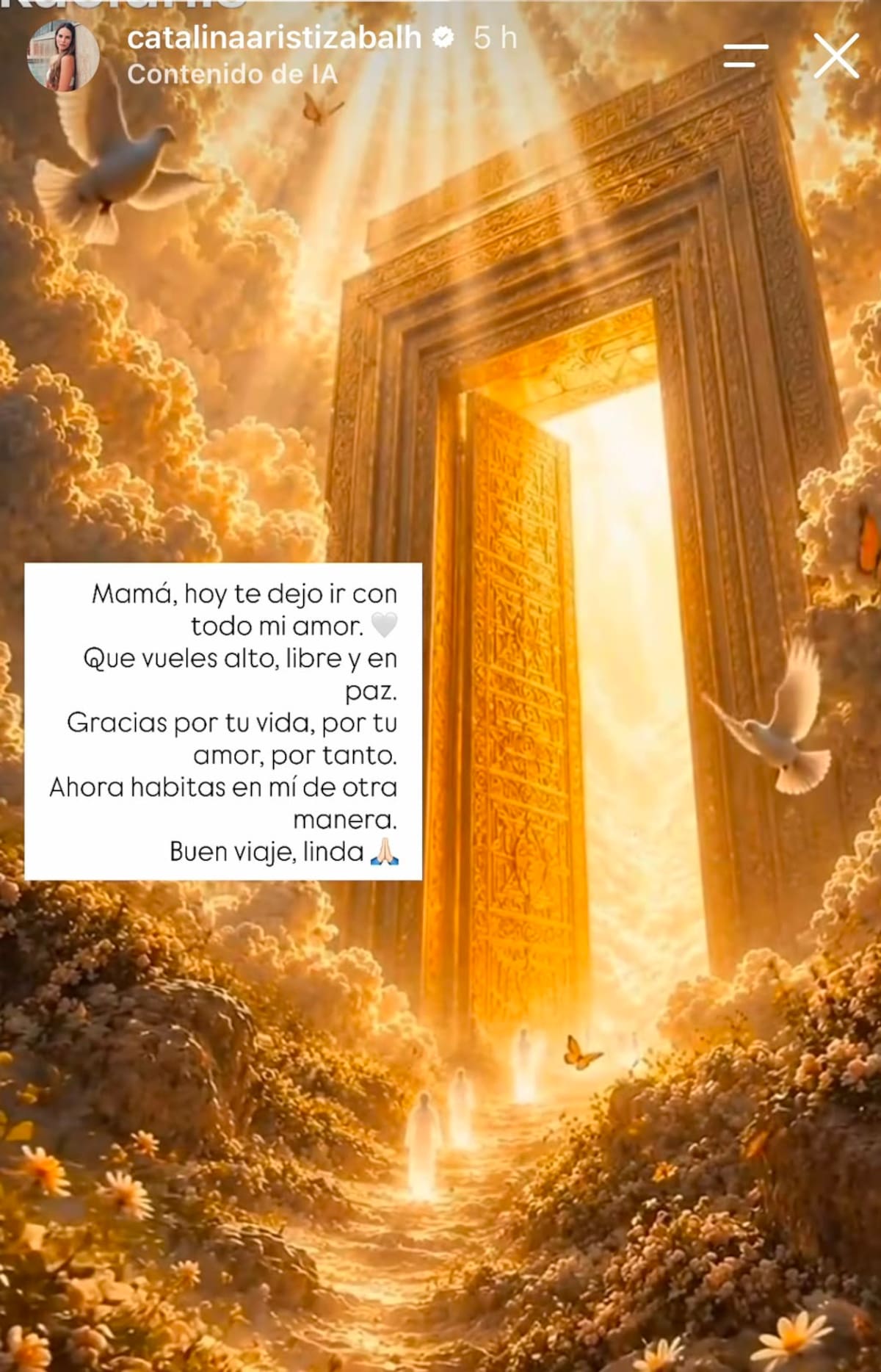 Catalina Aristizábal publicó en su estado de Instagram un emotivo mensaje tras la muerte de su mamá, la actriz Yamile Humar.