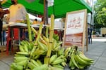 Mercado campesino reunirá a productores de los seis corregimientos de Barrancabermeja