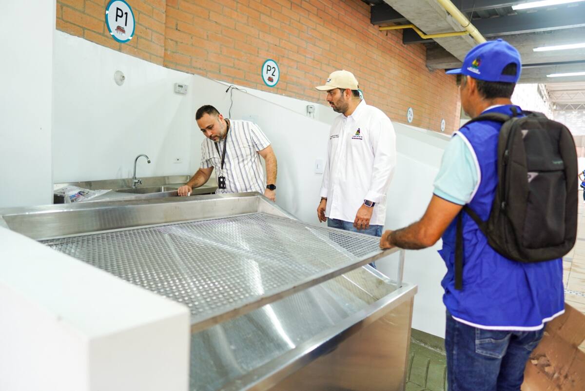 Comerciantes de pescado empezaron a ser reubicados en el nuevo Mercado Pesquero de Barrancabermeja.
Suministrada/Vanguardia