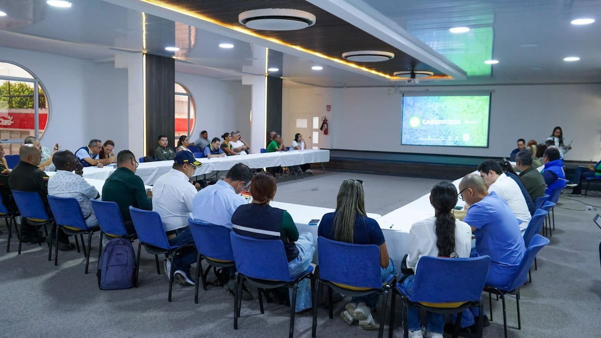 En Barrancabermeja se instaló la primera mesa técnica liderada por el Ministerio de Ambiente y la Corporación Autónoma Regional de Santander (CAS) con el fin de implementar acciones para controlar la presencia de hipopótamos.
MinAmbiente/Vanguardia