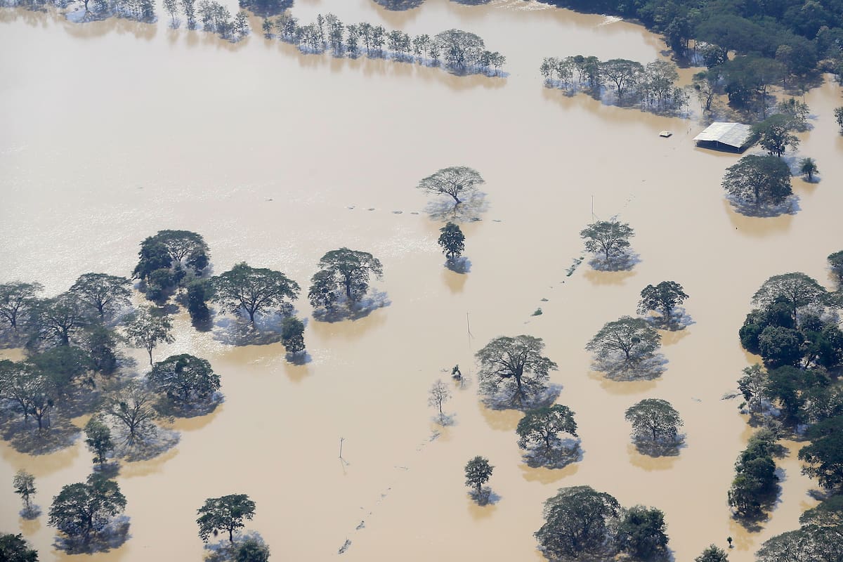 Fotografía que muestra una zona afectada este 5 de febrero de 2026 por inundaciones en zona rural del sur del departamento de Córdoba (Colombia). EFE/ Carlos Ortega