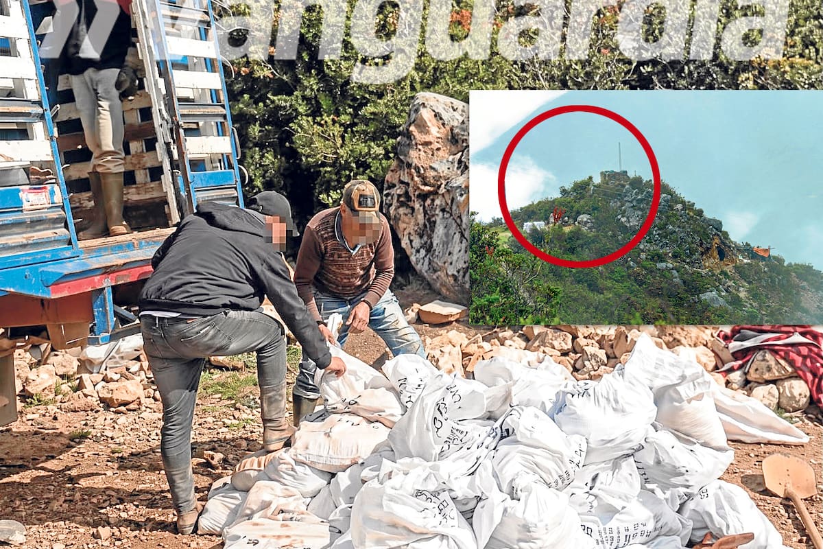 El Gobierno Nacional lo sabía: es el dueño legítimo de los túneles donde las mafias extraen oro de forma ilegal y nunca actuó. Esta es la historia oculta de la minería ilegal en el páramo de Santurbán. Documentos oficiales revelan que la administración de Gustavo Petro conocía, desde hace más de dos años, la ubicación exacta de cinco socavones criminales en la zona. Pese a las alertas por la contaminación hídrica con drenajes ácidos en este ecosistema de frailejones, la parálisis institucional mantiene las minas abiertas y bajo el control absoluto de mafias.
Forografía: Vanguardia. Derechos reservados.