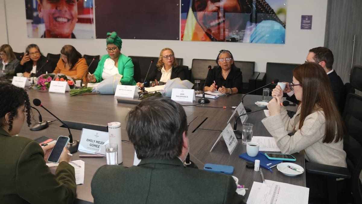 La viceministra Juliana Morad lideró el encuentro con representantes del sector, quienes presentaron propuestas sobre remuneración, formalización, inspección laboral y seguridad social. Foto: X / MinTrabajo