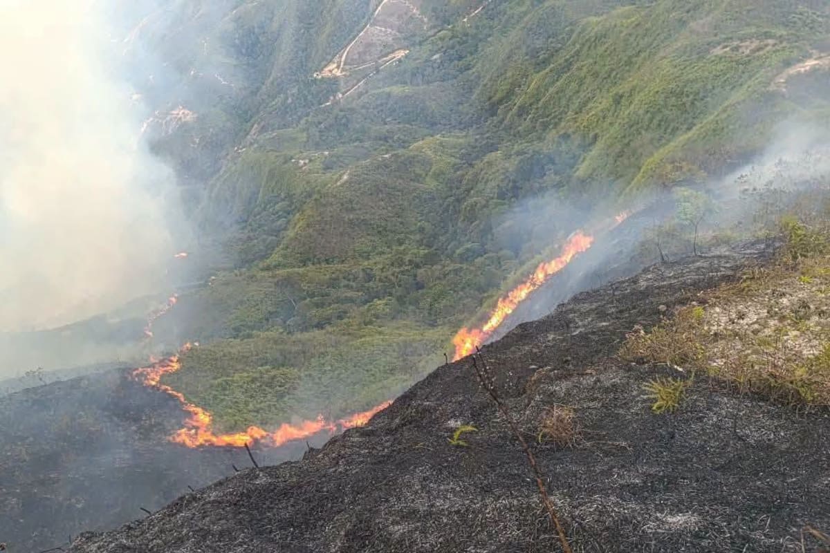Un incendio forestal generó preocupación en Mogotes.