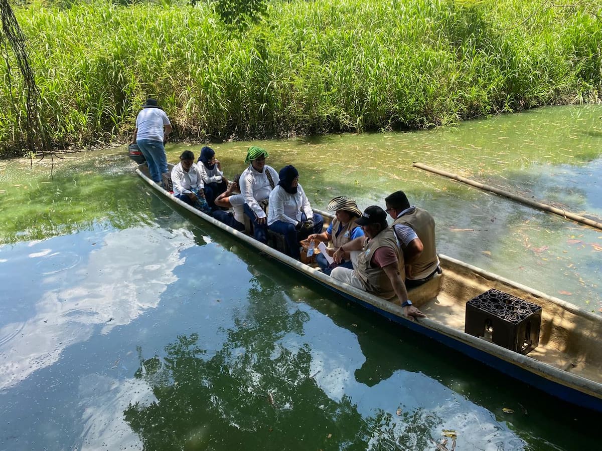 En temporada seca, suelen disminuir los niveles de ciénagas y caños de Barrancabermeja, aumentando el riesgo de varamientos de manatíes.
