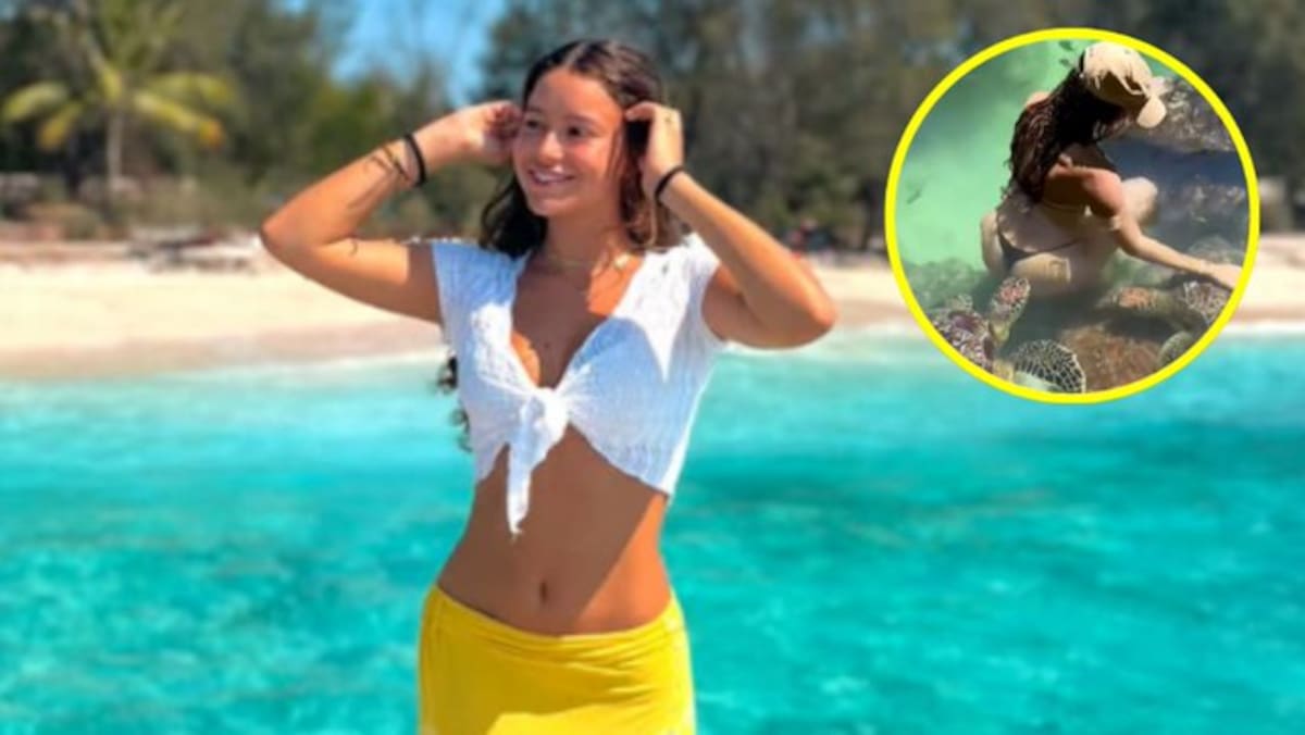 En las imágenes, Cynthia aparece dentro del agua rodeada de tortugas. De repente, una se acerca por detrás y la muerde en un glúteo, provocando su inmediata reacción