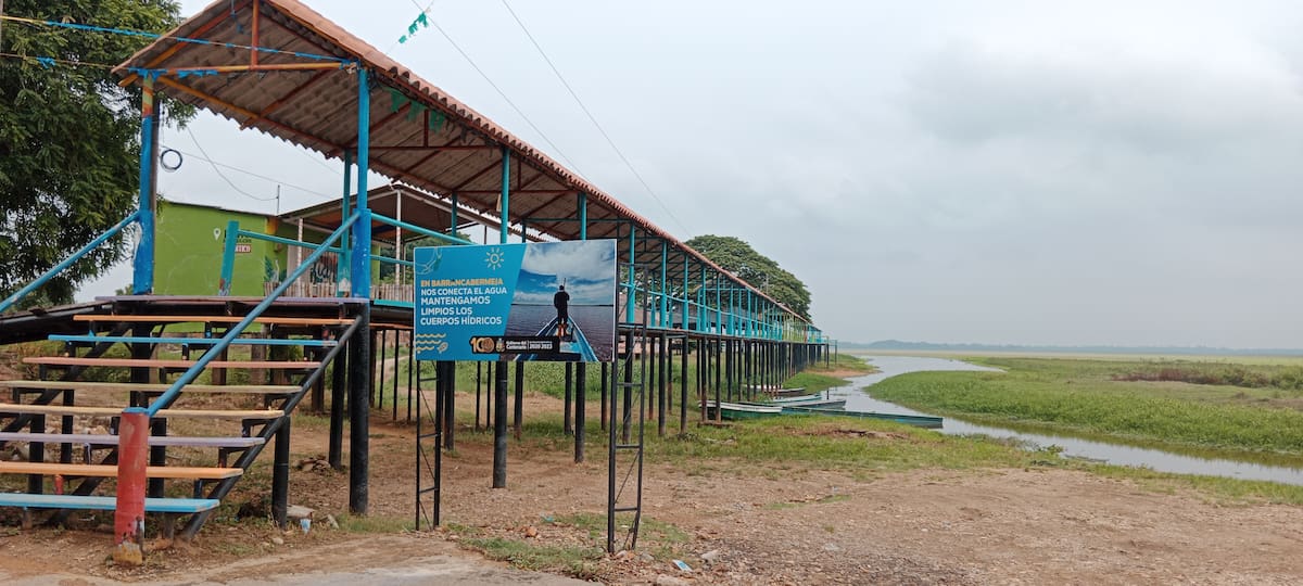 Pescadores de El Llanito alertaron sobre la aparición de rayas, bocachicos y alevinos muertos en la ciénaga y solicitaron la intervención urgente de las autoridades ambientales para establecer las causas del fenómeno.
Suministrada/Vanguardia