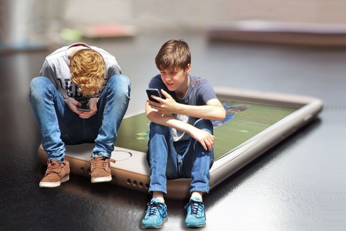 El 3,51% leer e indagar sobre derechos de los niños y jóvenes, el 4,49% ingresar a la página web del colegio.
