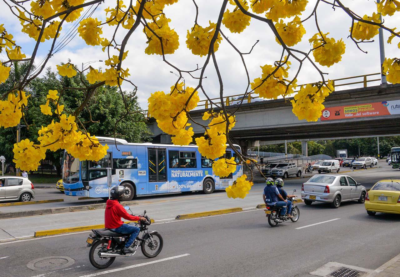 Conozca cuál es el Pico y Placa para este martes, 5 de septiembre, en Medellín y el Valle de Aburrá. Cortesía Alcaldía de Medellín / VANGUARDIA