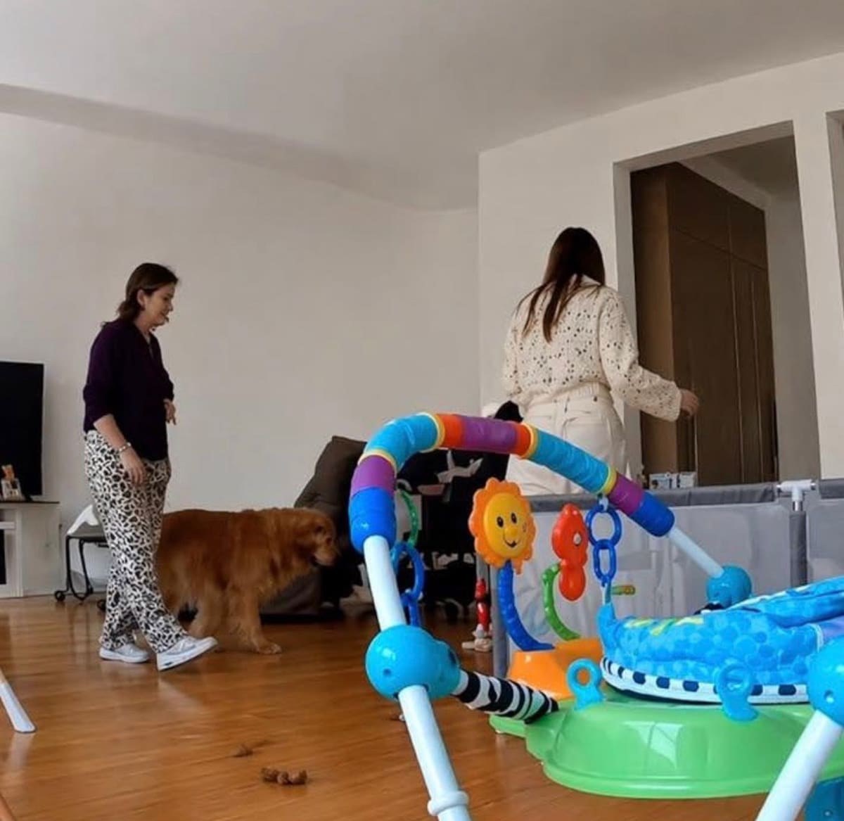 La tragedia golpeó a Polanco: la exreina de belleza Carolina Flores fue ejecutada a balazos dentro de un apartamento, presuntamente por su propia suegra.