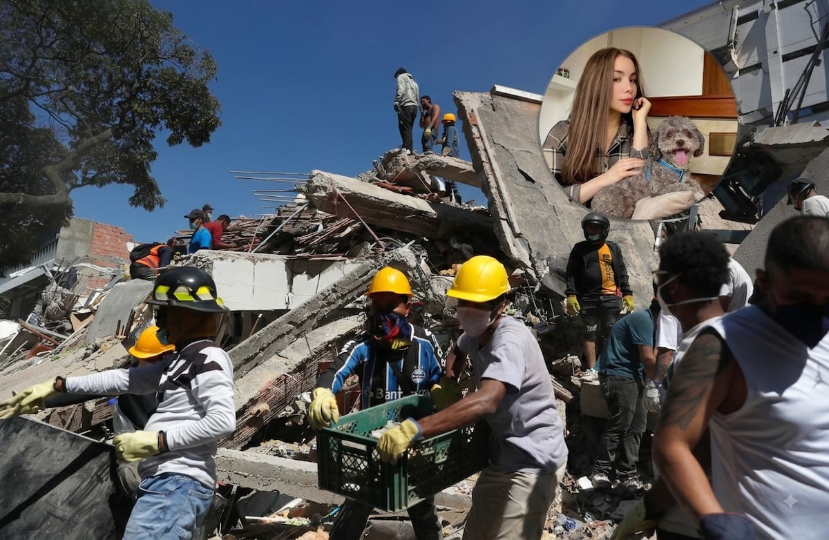 Lenny Fernández, una abogada oriunda de Pasto que residía en Cali, fue hallada sin vida bajo los escombros de su edificio. Su cuerpo, sin embargo, revelaba un último y poderoso acto de amor: estaba aferrada a su perrito, Salomón.