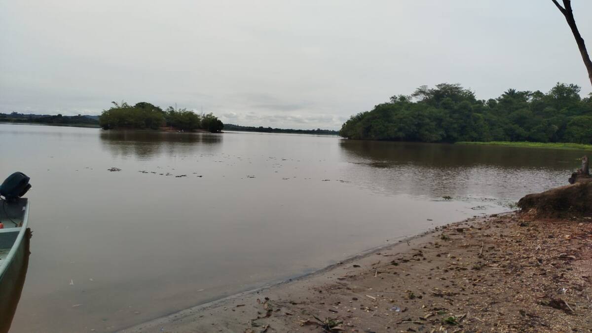 El manatí neonato fue hallado muerto en la ciénaga San Silvestre, en el sector conocido como Kikelandia.
Suministrada/Vanguardia