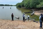 Contaminación y bajos niveles del agua, entre los factores que estudian por muerte de manatíes en Barrancabermeja