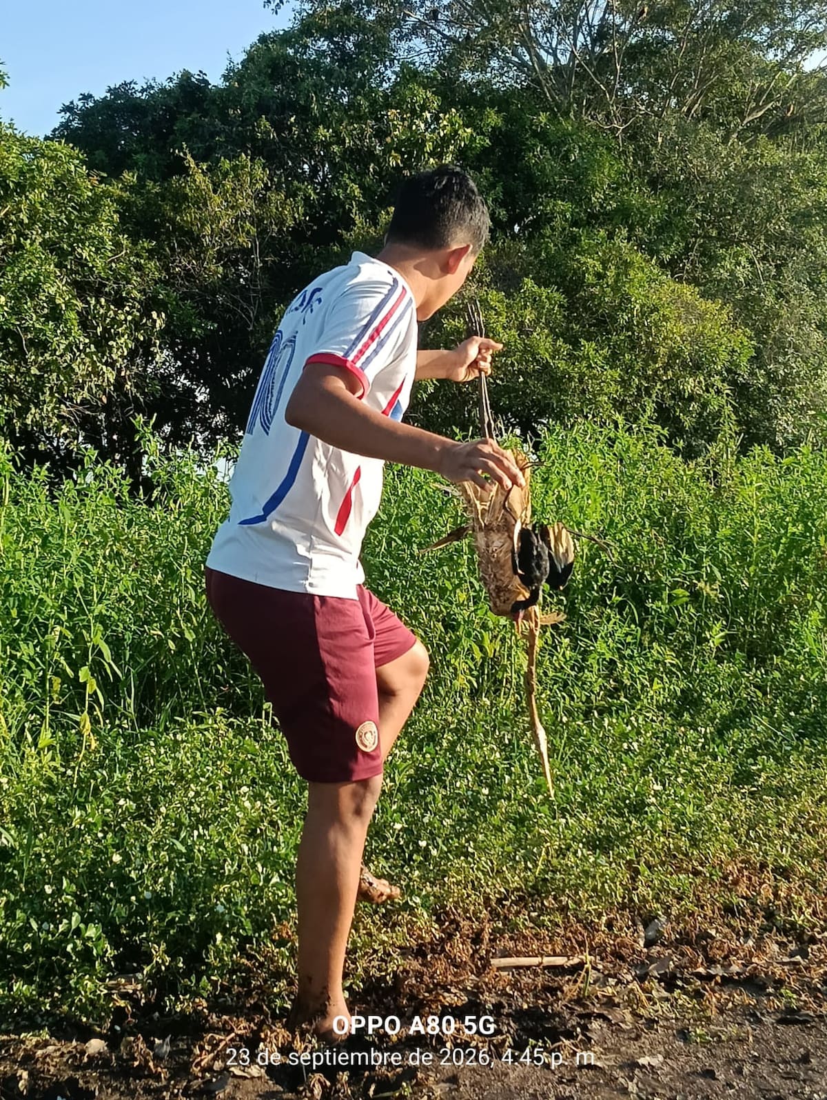 La CAS realizó una jornada de toma de muestras en el Caño San Silvestre, luego del hallazgo de cuatro manatíes muertos y nuevos reportes de fauna sin vida en la zona.
Suministrada/Vanguardia