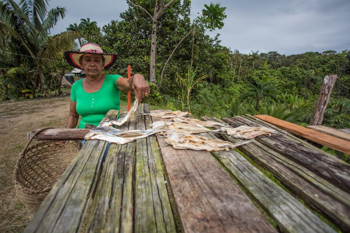 El 93,4 % de las mujeres rurales realiza trabajo no remunerado: así persiste la brecha en Colombia.