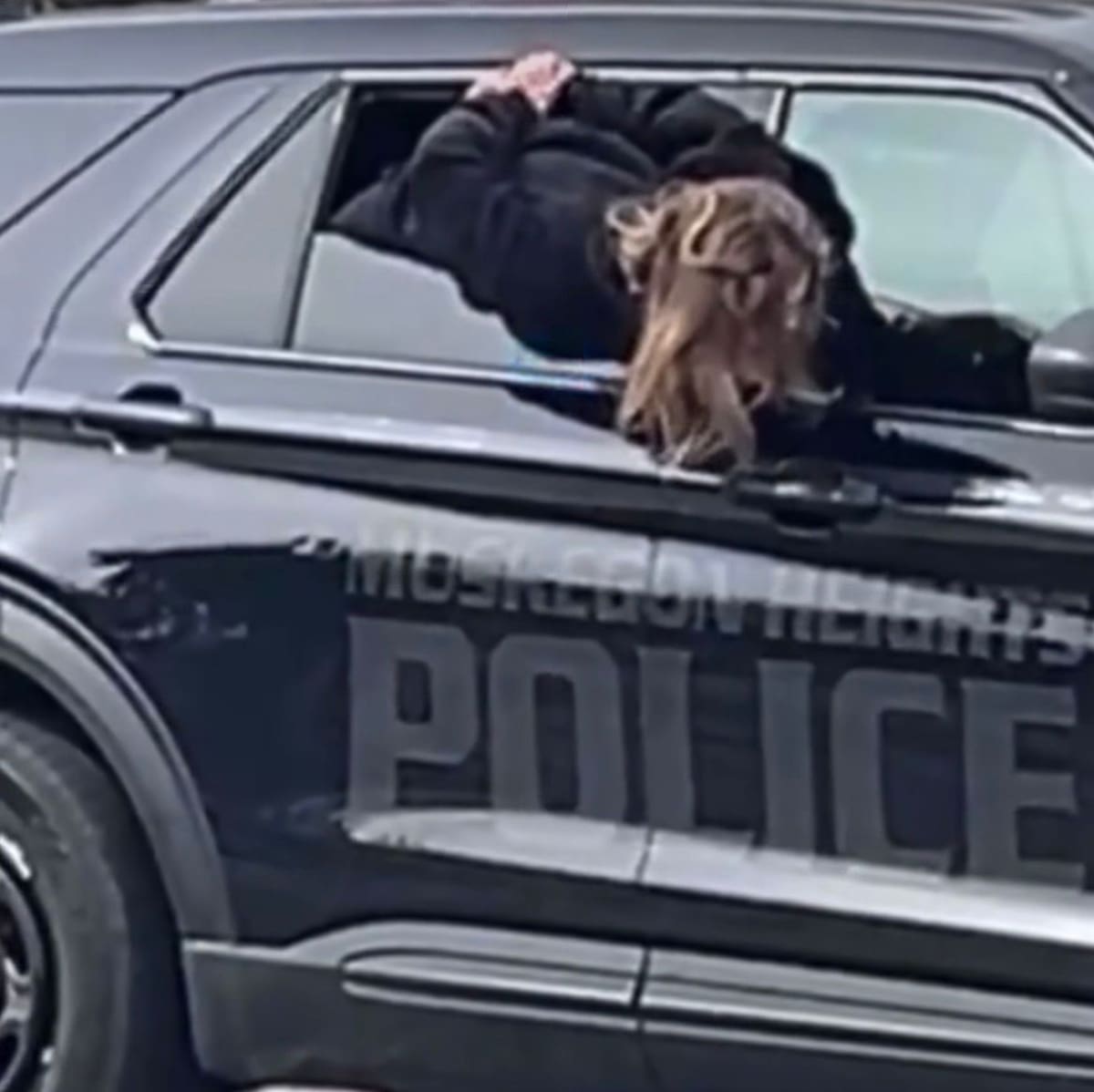 Mujer detenida en patrulla policial, logra escapar a pesar de estar esposada, arrojándose por la ventana. El hecho quedó grabado por un transeúnte que pasaba por la calle.