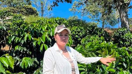 Mujeres caficultoras del sur de Santander: una red ‘abonada’ con liderazgo