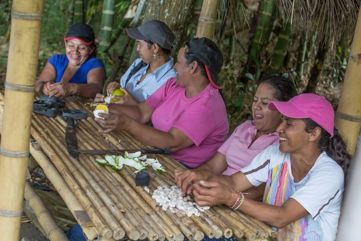 Las dificultades para acceder a créditos y disponer de bienes propios limitan las oportunidades de inversión y crecimiento de los proyectos productivos de las mujeres rurales.