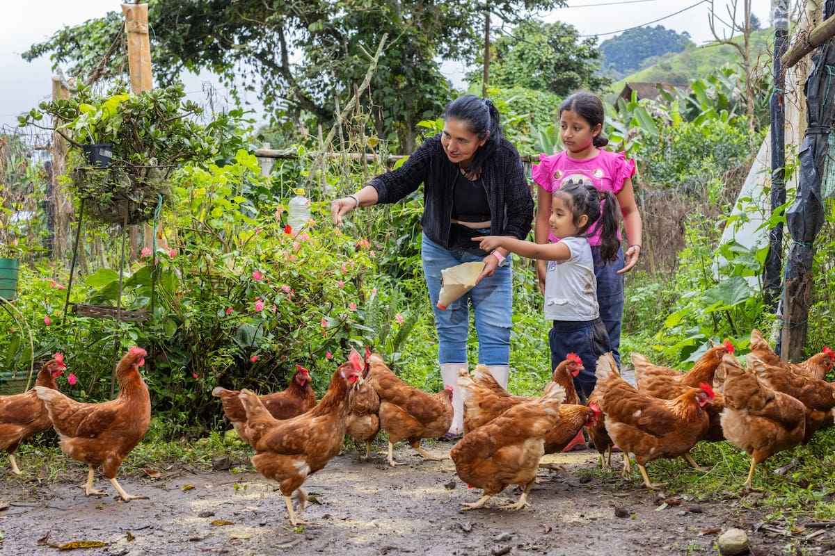 El 93.4 % de las mujeres rurales participa en actividades no remuneradas, frente al 60.8 % de los hombres, según la encuesta citada en el documento.