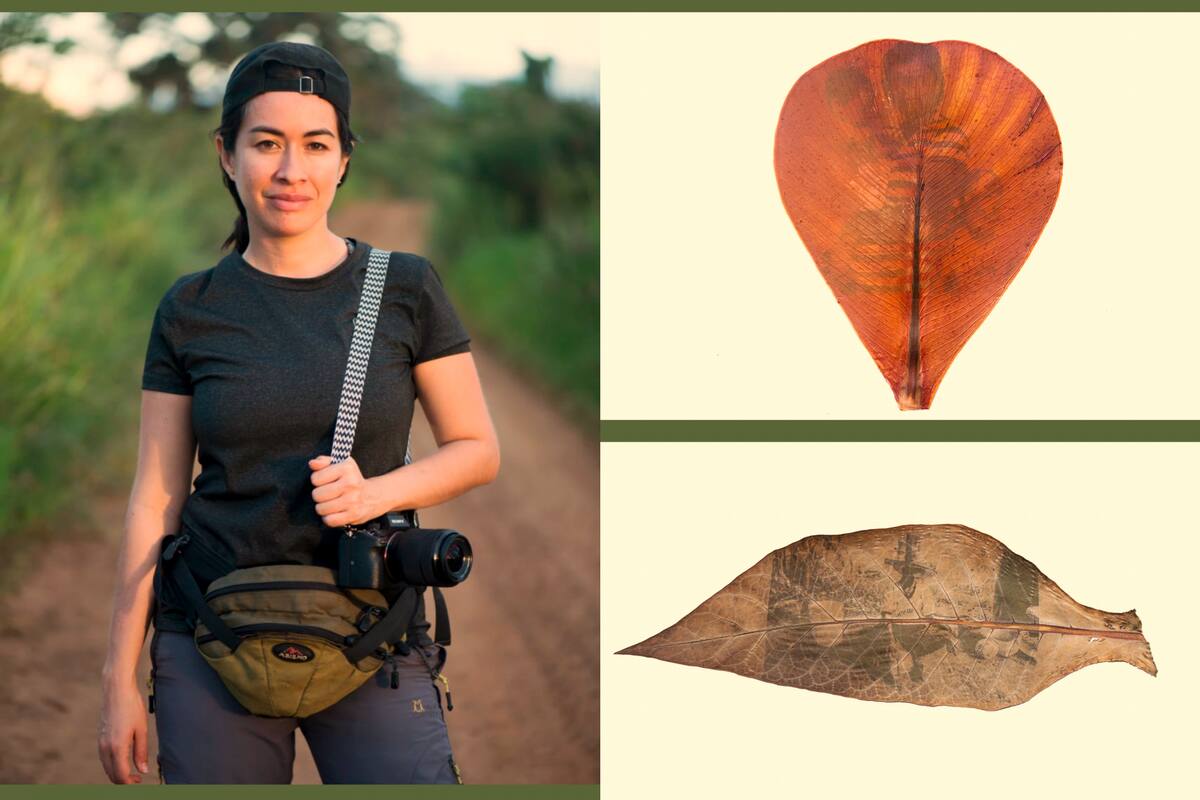 Natalia es la directora de la Corporación Guaricha, entidad cultural que gestiona y desarrolla proyectos relacionados con Comunidad, Medio Ambiente y Territorio. Esta son las fotos ganadoras. Fotos suministradas/VANGUARDIA