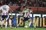 Nacional vs Junior: las finales que marcaron una de las mayores rivalidades del fútbol colombiano