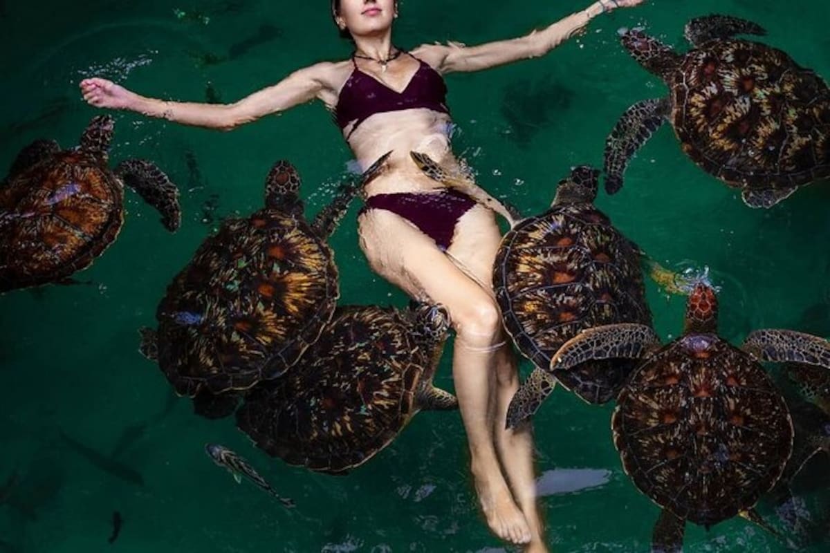 Nadar con tortugas en aguas de Zanzíbar, en Tanzania.