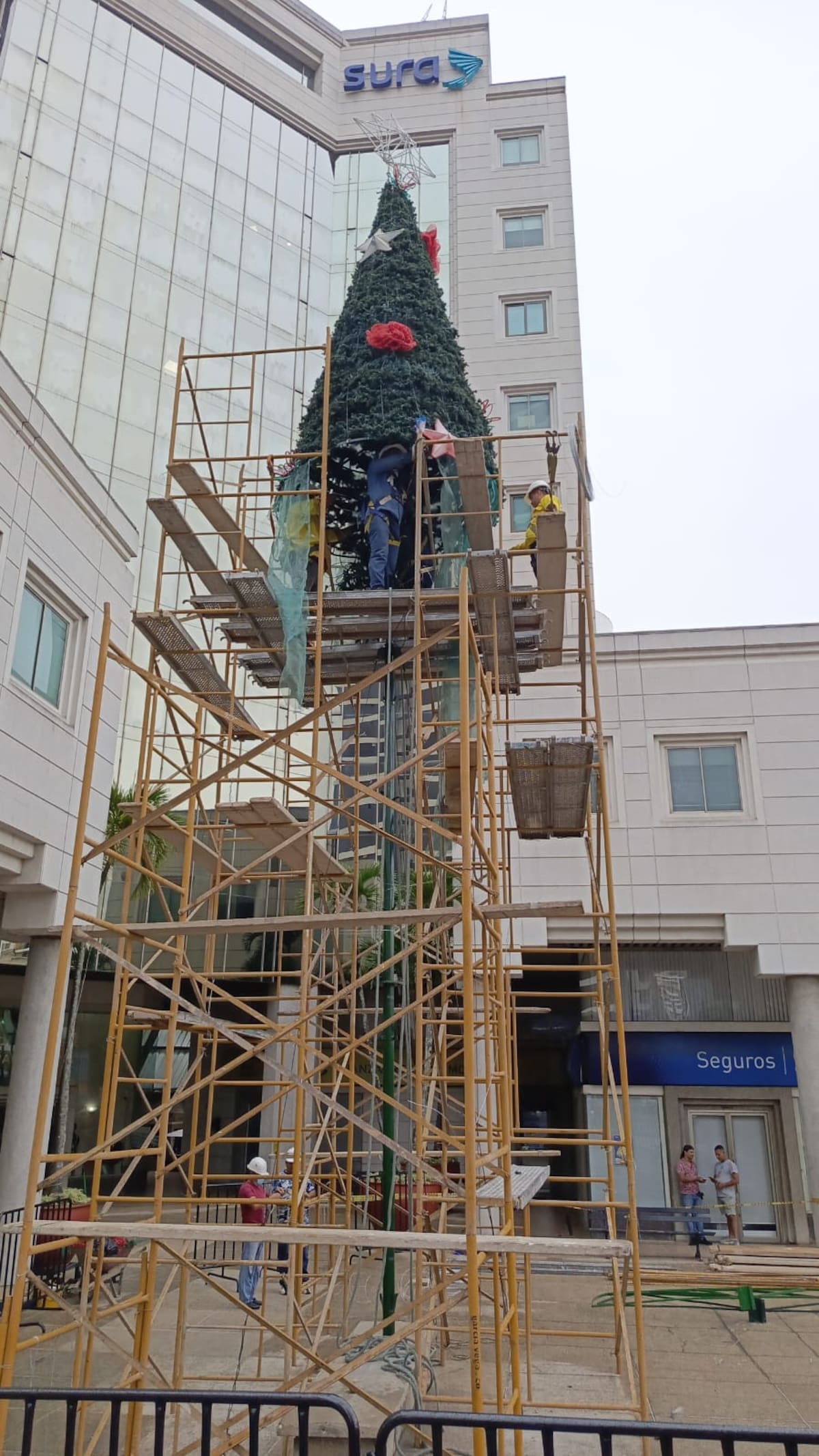 Así luce este año el árbol de Navidad de la 27 con 36.