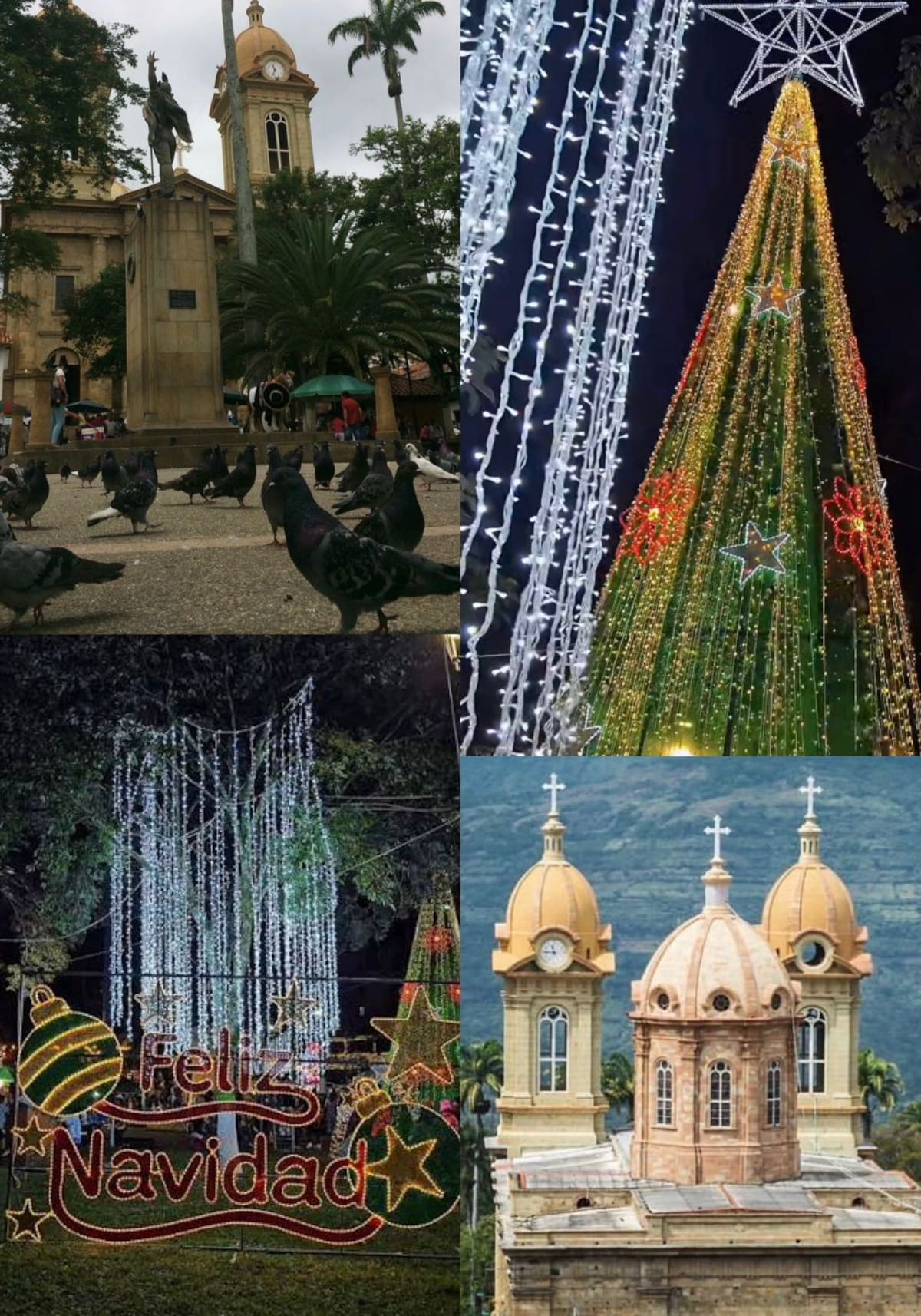 Navidad en el Socorro. Foto: Suministrada