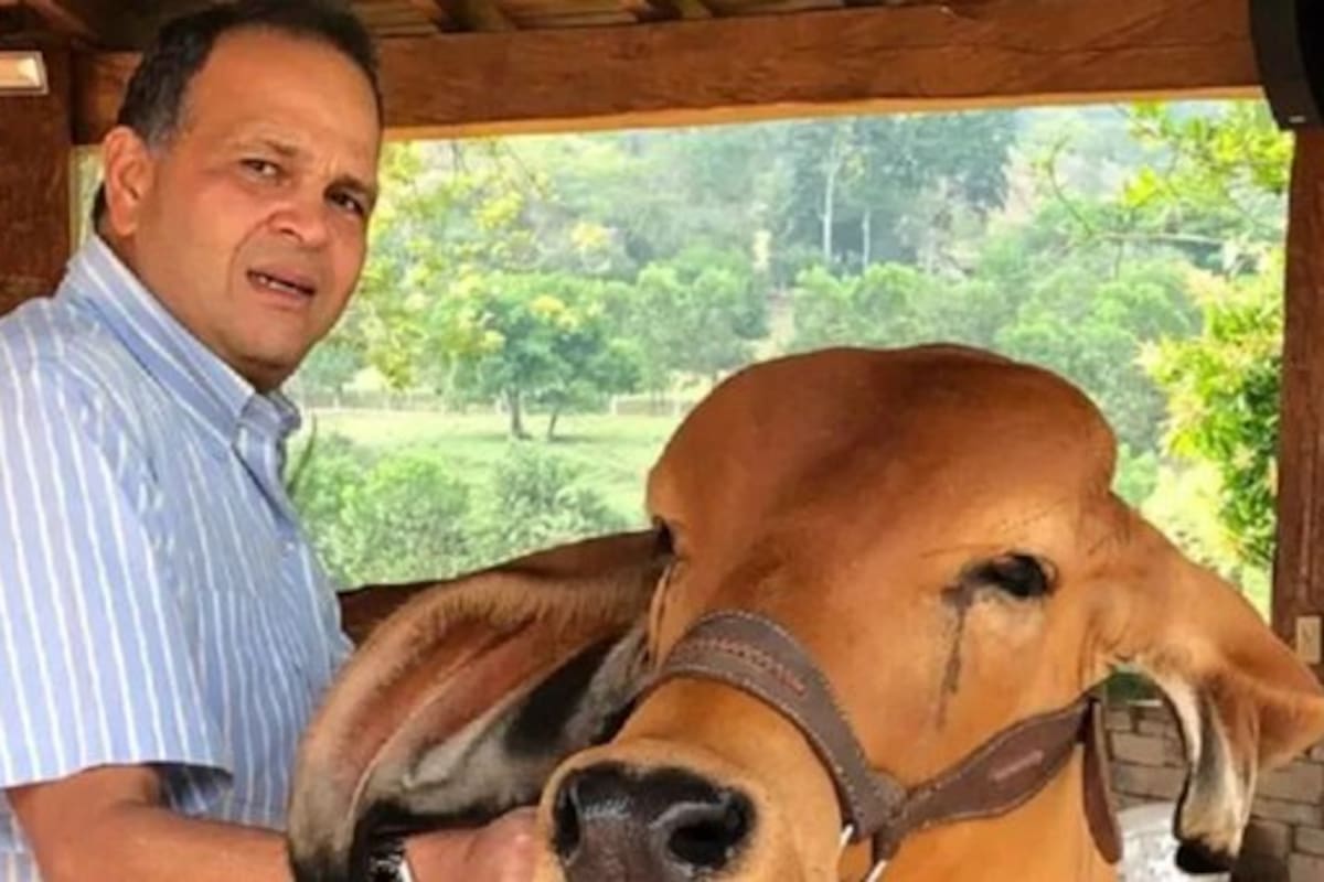 Fallo ordena regresarle a la familia del 'Ñeñe' Hernández multimillonarios bienes y empresas.