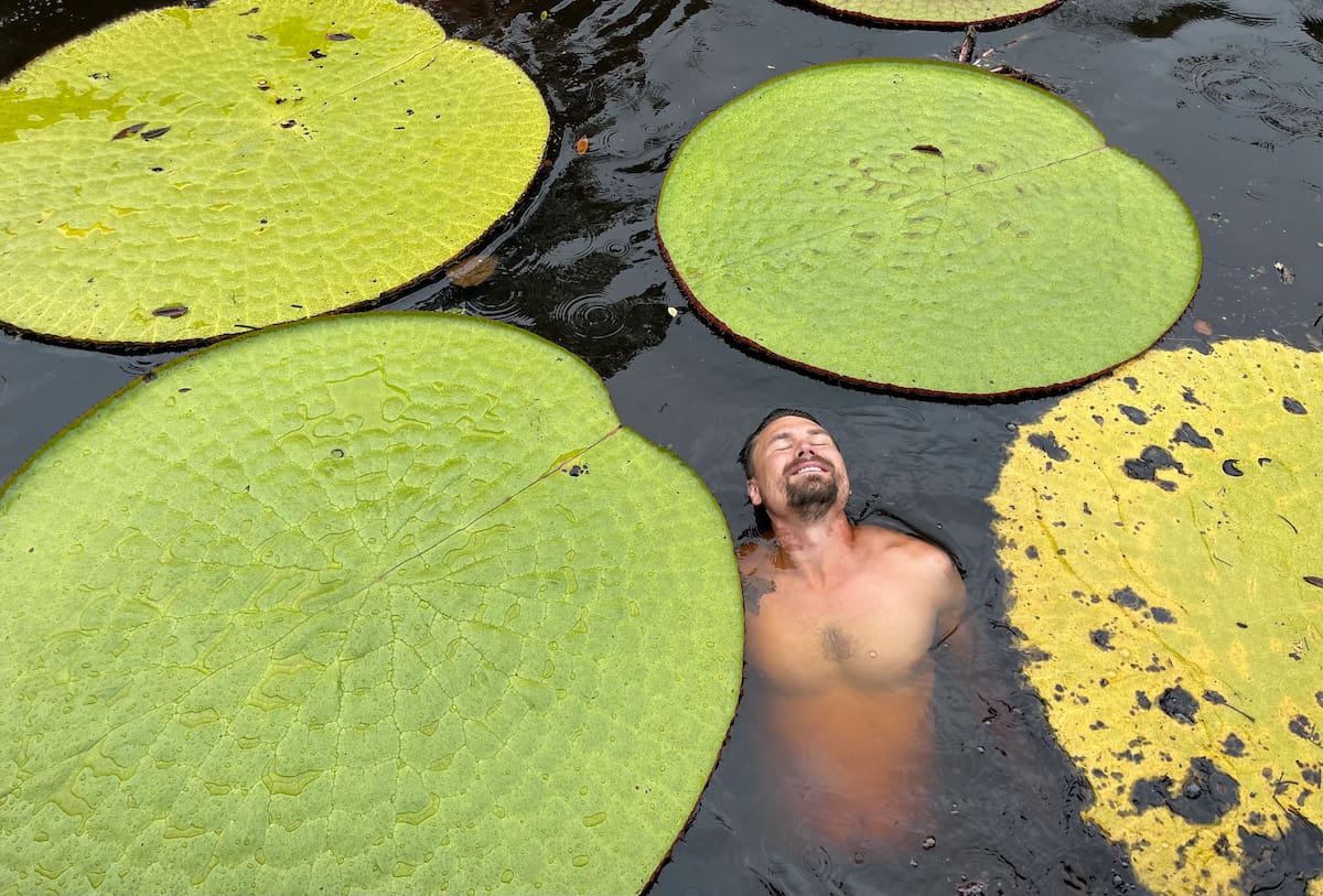 Una fotografía que tomé en 2021, nadando entre nenúfares gigantes en el río Inírida en Guainía, Colombia, llevó a Carlos Magdalena de Kew a descubrir una nueva especie, ahora llamada Victoria colombiana. Foto: Jeremiah Harris