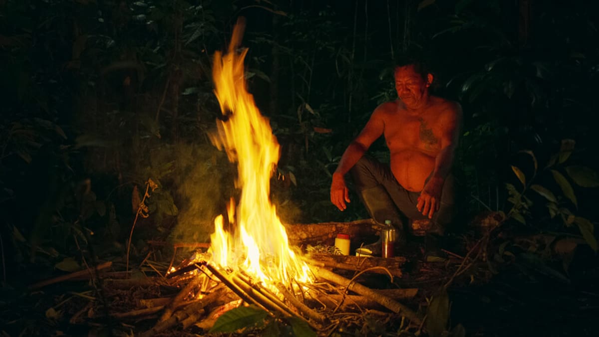 "Netflix estrena 'Los niños perdidos': el documental que explora la increíble supervivencia de cuatro niños en la selva amazónica". Foto: Colprensa
