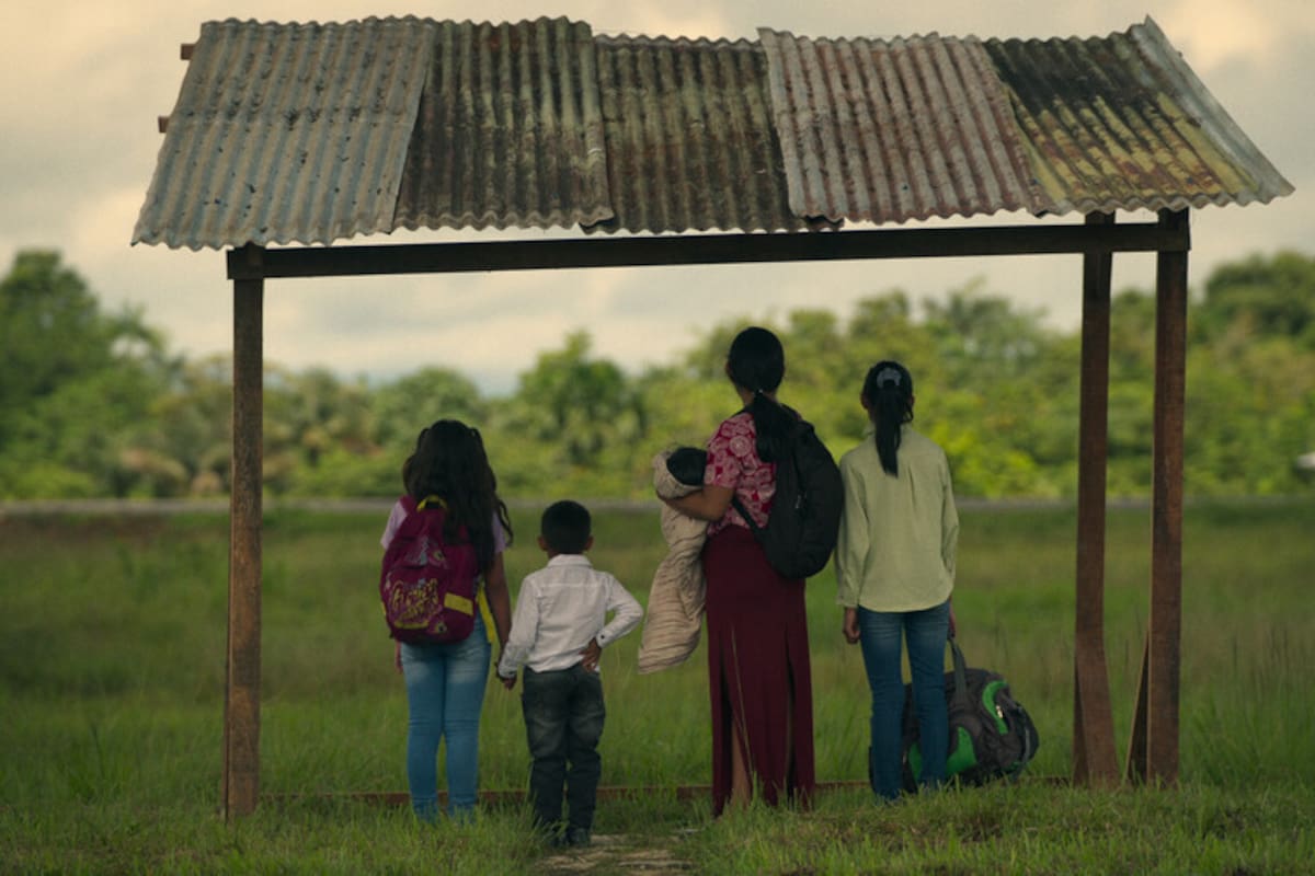 "Netflix estrena 'Los niños perdidos': el documental que explora la increíble supervivencia de cuatro niños en la selva amazónica". Foto: Colprensa