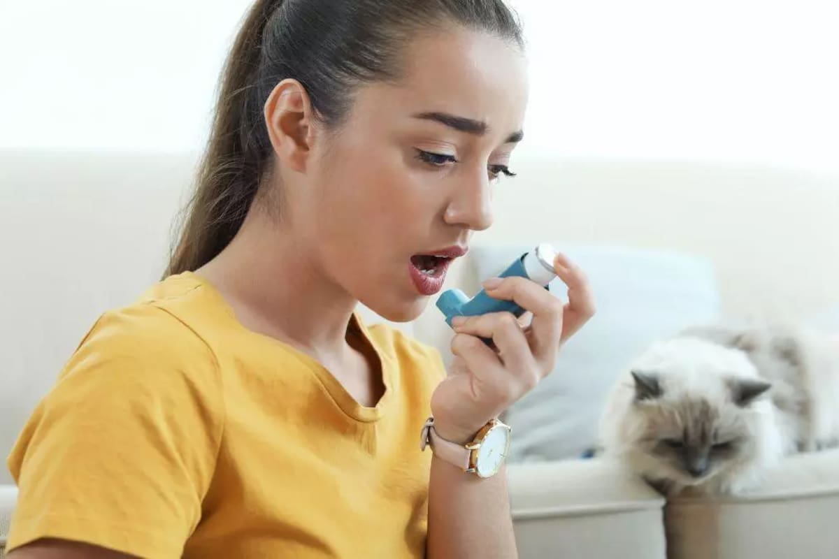 Conviven con felinos pero sus pulmones reaccionan igual. Un estudio con 30.000 niños cambia las reglas del asma infantil.