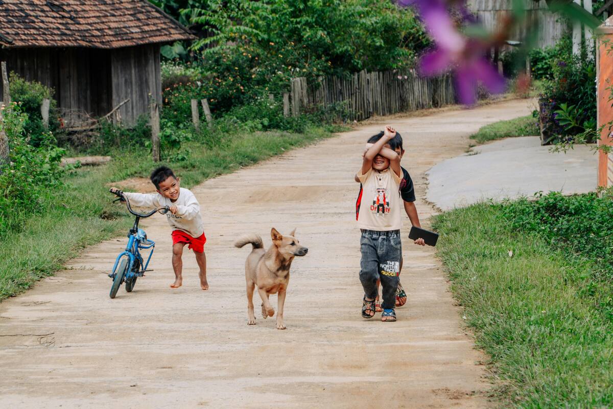 Unicef: Ausencia de datos sobre niños con discapacidad es una "deuda grande" de la región. | Foto: Tomada de https://www.pexels.com/