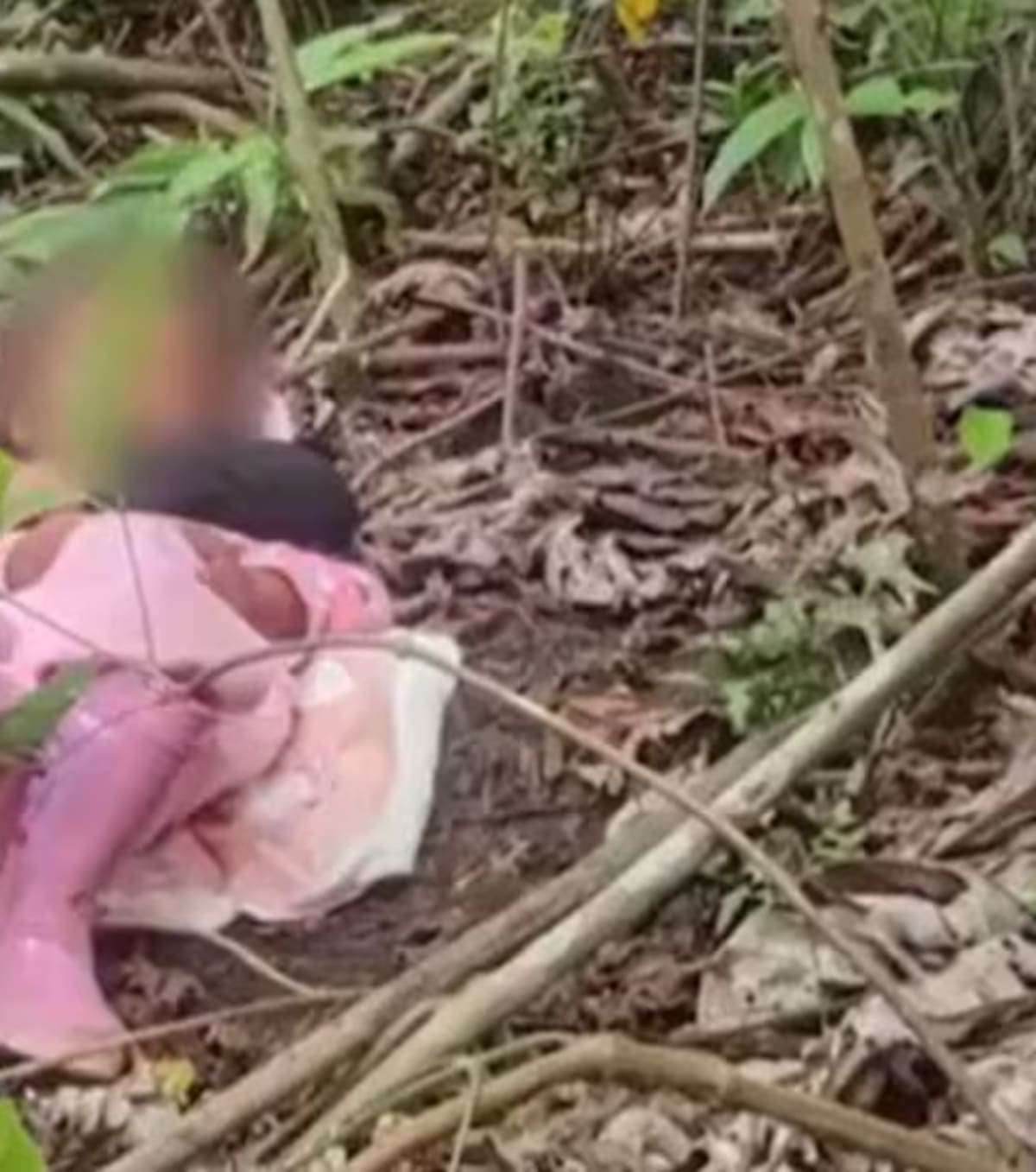 Tras escapar de un grupo armado ilegal, los menores fueron ubicados por el Ejército en medio de la selva.
Foto: Noticias RCN.