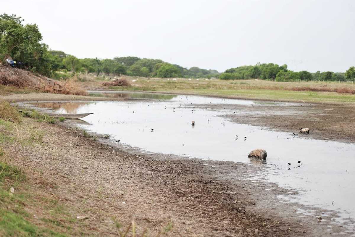 El río Magdalena presentó niveles históricamente bajos en Barrancabermeja durante las últimas semanas. Las condiciones generaron restricciones para el transporte de carga en algunos sectores.
Suministrada/Vanguardia