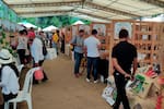 AgroSanGil 2026 espera recibir 15.000 visitantes y mover más de $10.000 millones