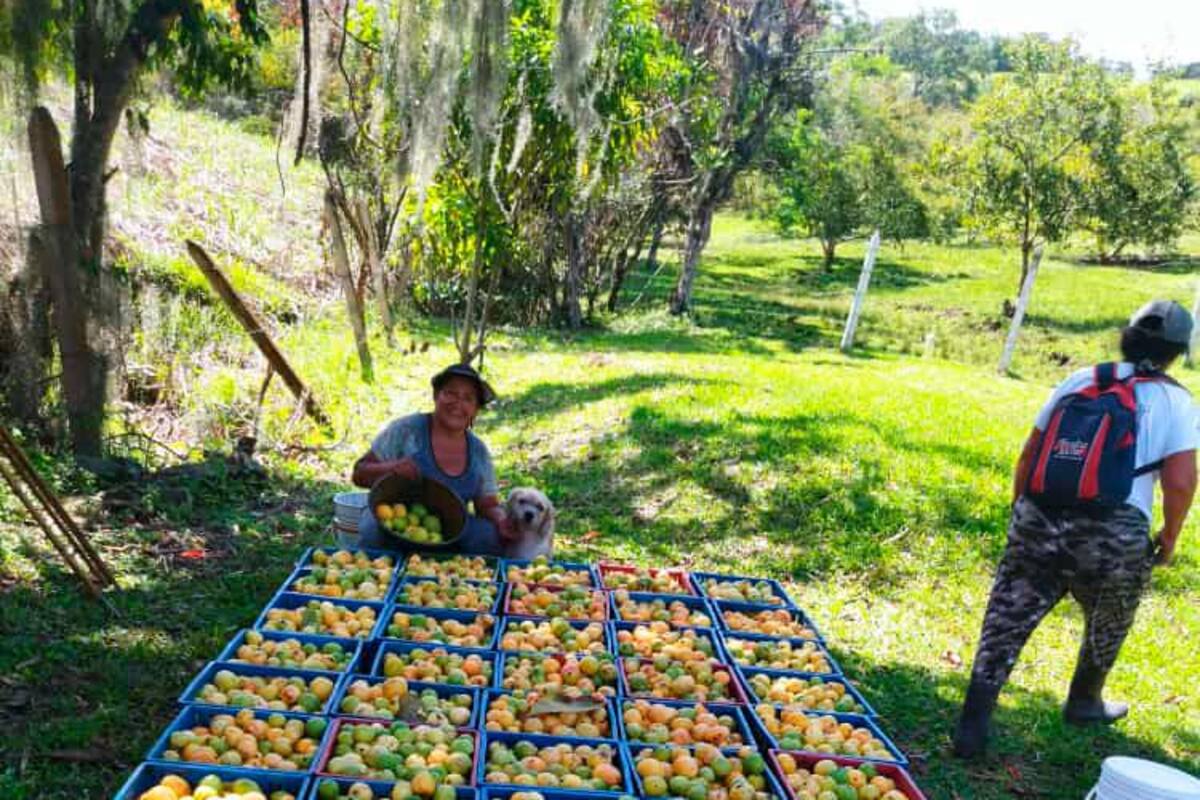 Suministrada - Fedeveleños / VANGUARDIA