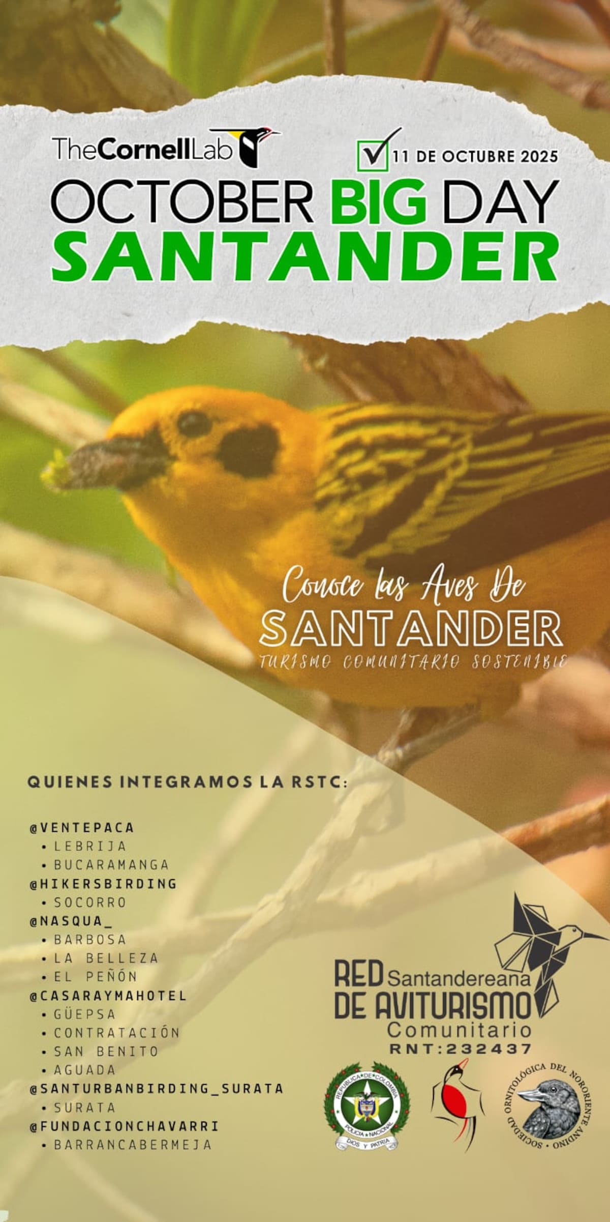 Suministrada/Vanguardia
