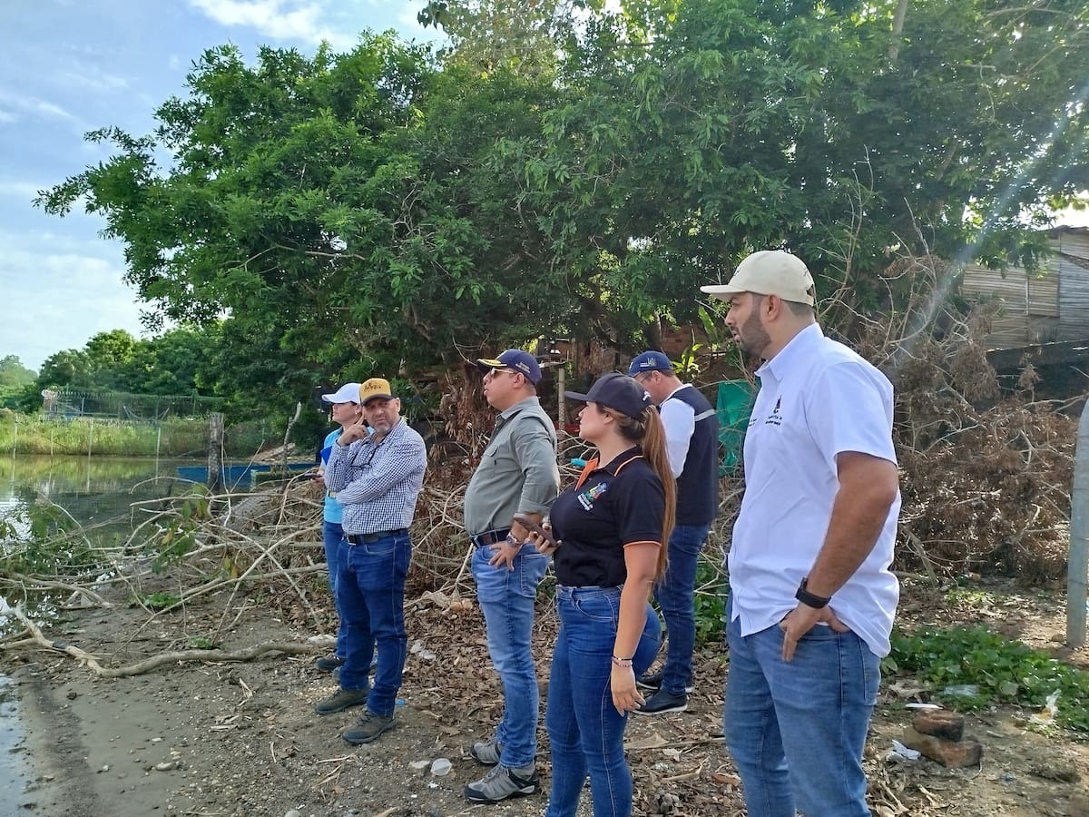 Las autoridades detectaron una ocupación ilegal en la ciénaga San Silvestre de Barrancabermeja.
Suministrada/Vanguardia