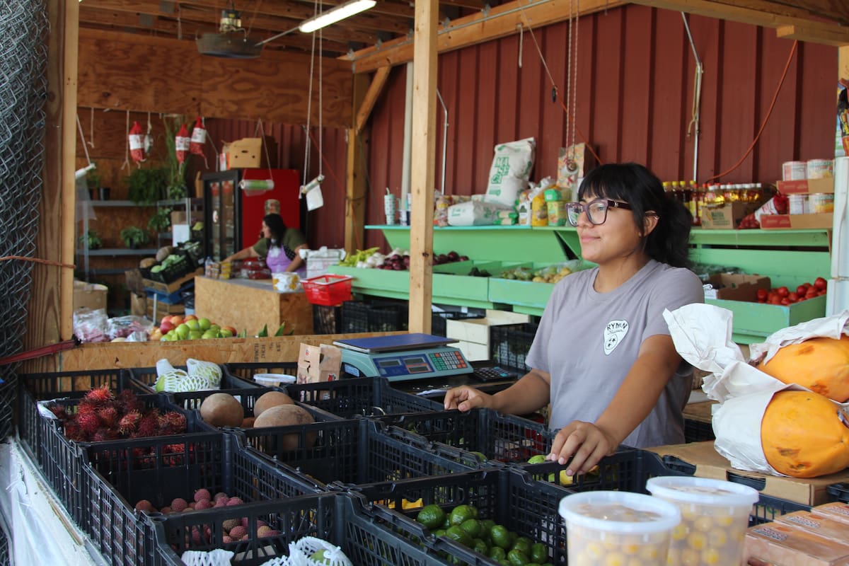 ACOMPAÑA CRÓNICA: EEUU INMIGRACIÓN USA3358. ATLANTA (GA, EEUU), 06/10/2026.- Fotografía del 20 de septiembre de 2026 de una mujer latina vendiendo frutas en un mercado de Georgia, Atlanta (Estados Unidos). Empresarios hispanos se han visto obligados a tomar medidas drásticas, como reducir su plantilla, mientras esperan que "escampe el temporal", en un contexto en el que otros negocios afrontan además una caída de las ventas y una creciente incertidumbre económica. EFE/ Gabriel DeFranco