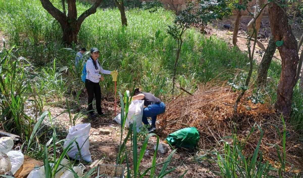 Jóvenes, vecinos y demás voluntarios lideran hoy, 19 de mayo, una brigada de limpieza en el barrio San Miguel de Bucaramanga.