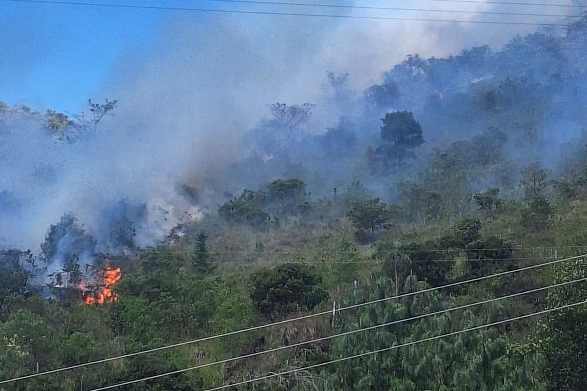 Organismos de socorro adelantan labores para controlar el incendio forestal en zona rural de Vetas.