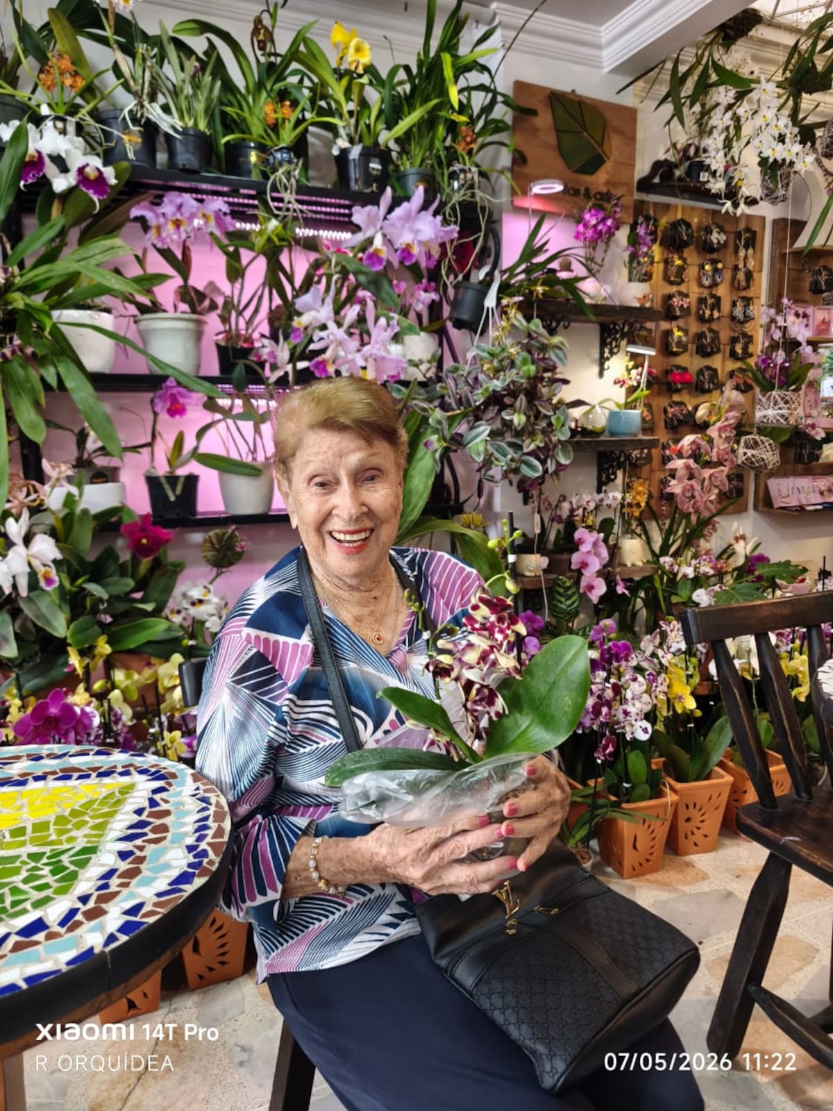 Bucaramanga tendrá una exposición de orquídeas del 15 al 18 de octubre.