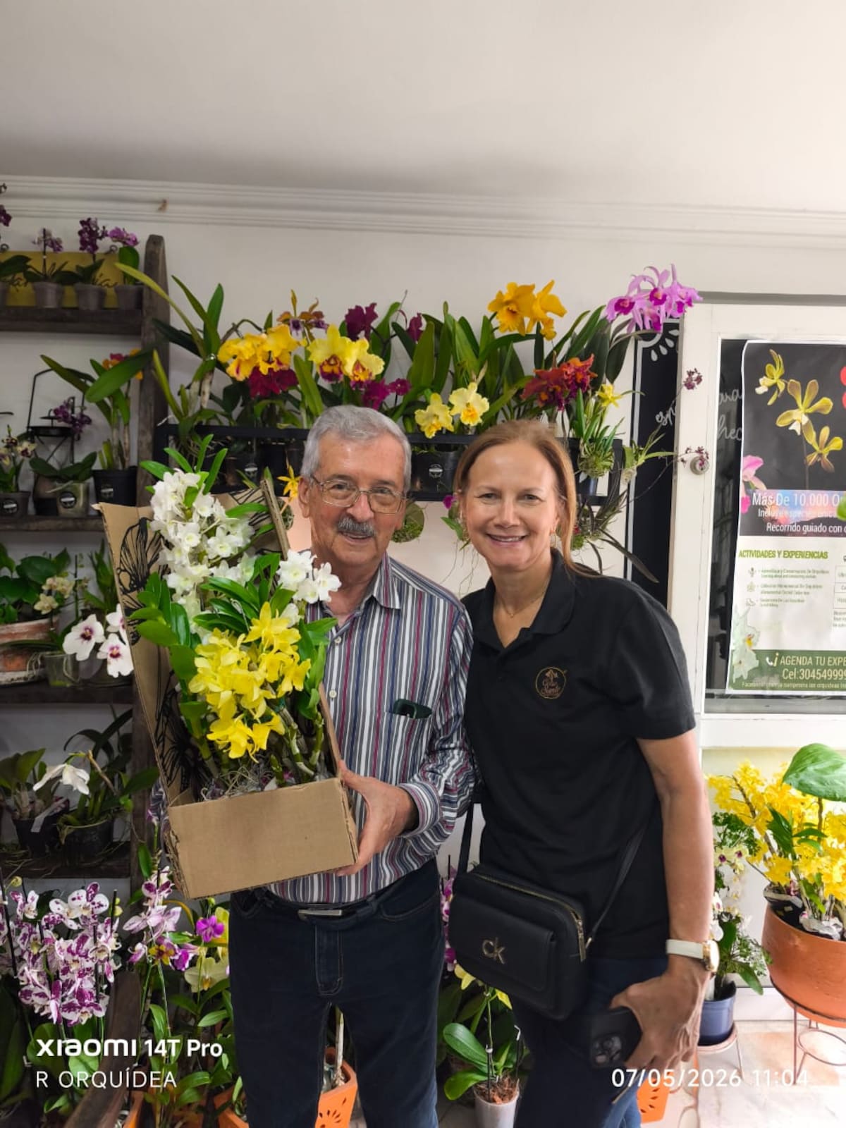 Desde la Cattleya trianae a especies miniaturas se podrán apreciar en esta exposición de orquídeas en Bucaramanga.