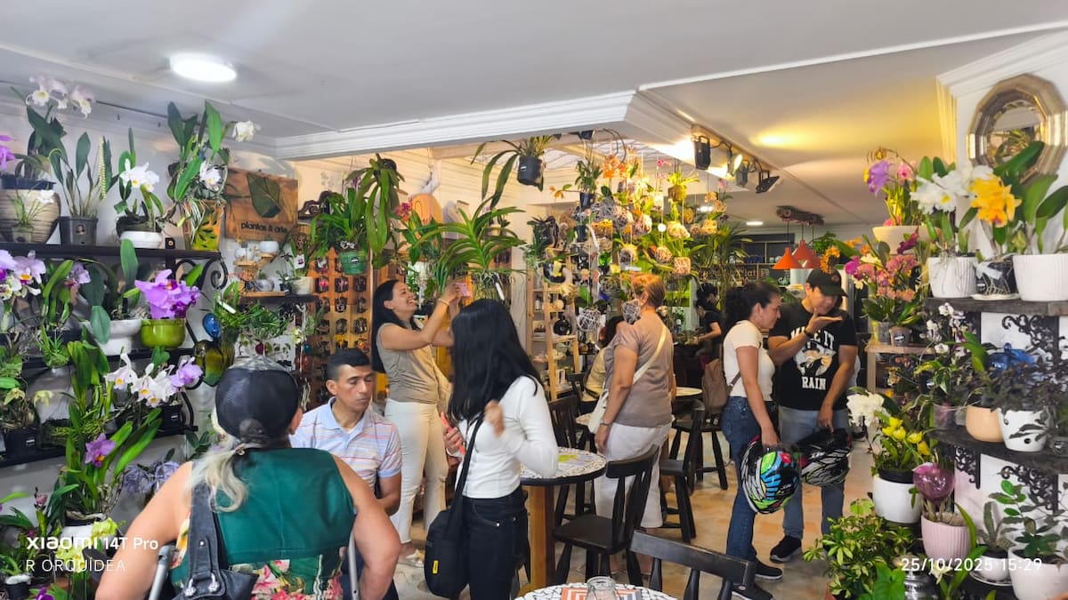 Suministrada/Vanguardia