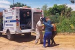 Padre e hija sufrieron grave ataque de abejas africanizadas en zona rural de Santander